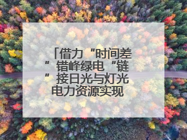 借力“时间差”错峰绿电“链”接日光与灯光 电力资源实现“时空腾挪”