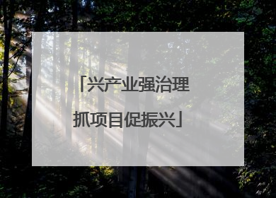兴产业强治理 抓项目促振兴
