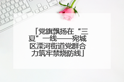 党旗飘扬在“三夏”一线——宛城区溧河街道党群合力筑牢禁烧防线