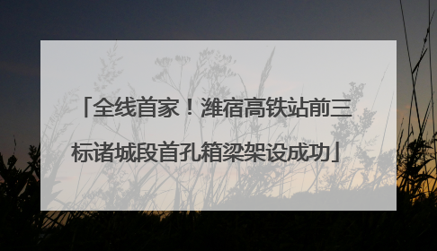全线首家！潍宿高铁站前三标诸城段首孔箱梁架设成功
