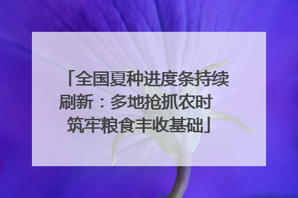 全国夏种进度条持续刷新：多地抢抓农时 筑牢粮食丰收基础