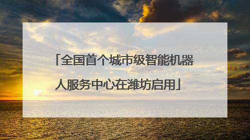 全国首个城市级智能机器人服务中心在潍坊启用
