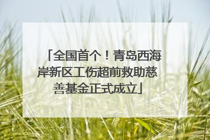 全国首个！青岛西海岸新区工伤超前救助慈善基金正式成立