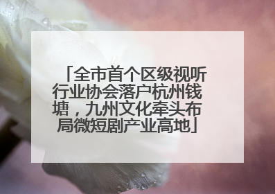 全市首个区级视听行业协会落户杭州钱塘，九州文化牵头布局微短剧产业高地