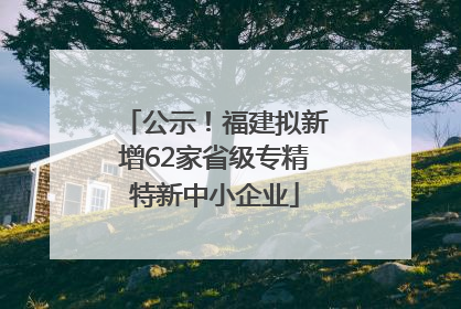 公示！福建拟新增62家省级专精特新中小企业