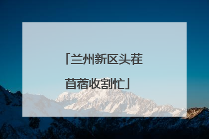 兰州新区头茬苜蓿收割忙