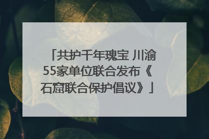 共护千年瑰宝 川渝55家单位联合发布《石窟联合保护倡议》