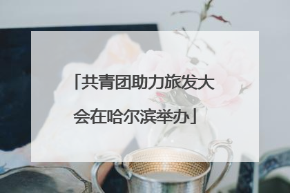 共青团助力旅发大会在哈尔滨举办
