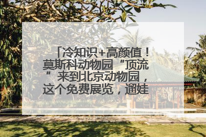 冷知识+高颜值！莫斯科动物园“顶流”来到北京动物园，这个免费展览，遛娃拍照两不误！