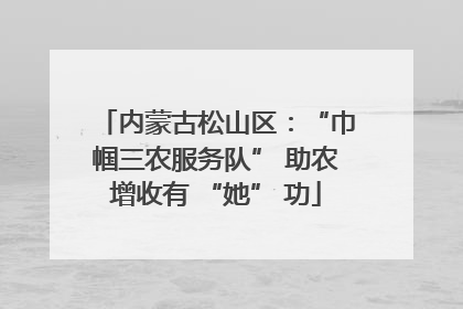 内蒙古松山区：“巾帼三农服务队” 助农增收有 “她” 功