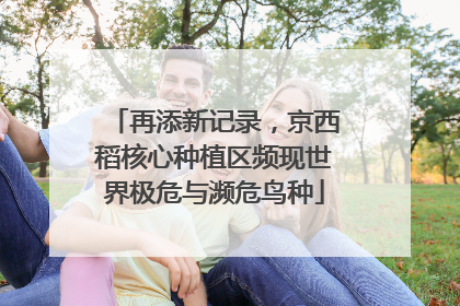 再添新记录，京西稻核心种植区频现世界极危与濒危鸟种