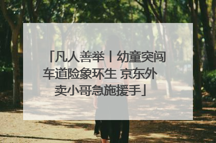 凡人善举丨幼童突闯车道险象环生 京东外卖小哥急施援手