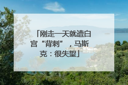 刚走一天就遭白宫“背刺”，马斯克：很失望