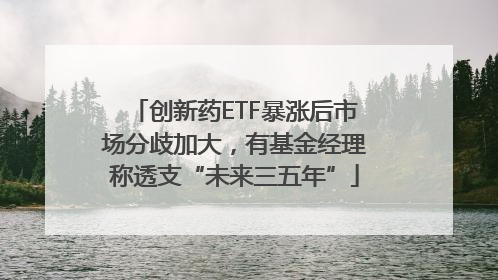 创新药ETF暴涨后市场分歧加大，有基金经理称透支“未来三五年”