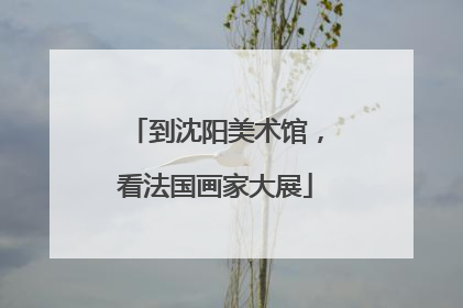 到沈阳美术馆，看法国画家大展