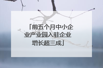 前五个月中小企业产业园入驻企业增长超三成