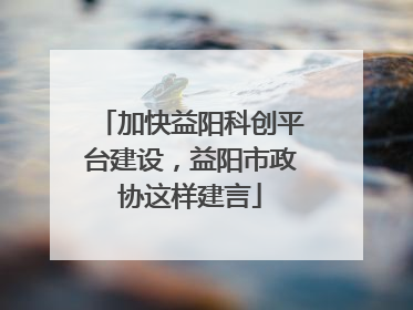 加快益阳科创平台建设，益阳市政协这样建言