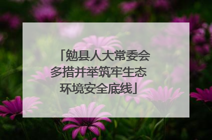 勉县人大常委会多措并举筑牢生态环境安全底线