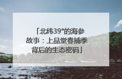 北纬39°的海参故事：上品堂春捕季背后的生态密码