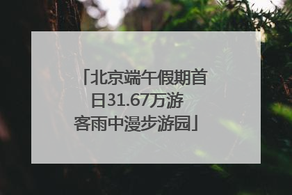 北京端午假期首日31.67万游客雨中漫步游园