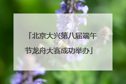 北京大兴第八届端午节龙舟大赛成功举办
