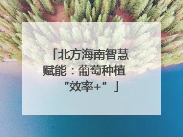 北方海南智慧赋能：葡萄种植“效率+”