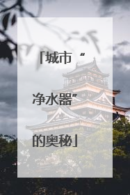 城市“净水器”的奥秘