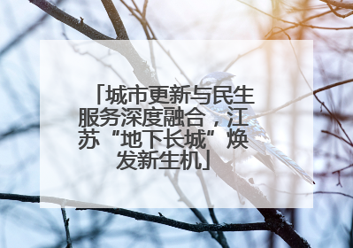城市更新与民生服务深度融合，江苏“地下长城”焕发新生机