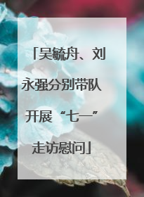 吴毓舟、刘永强分别带队开展“七一”走访慰问