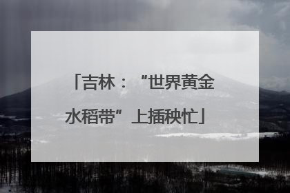 吉林：“世界黄金水稻带”上插秧忙