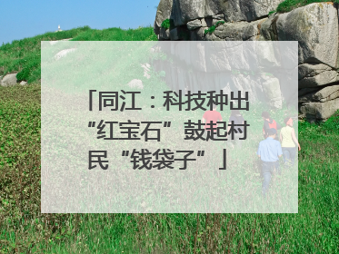 同江：科技种出“红宝石”鼓起村民“钱袋子”