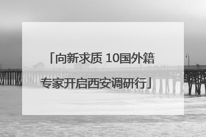 向新求质 10国外籍专家开启西安调研行