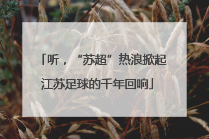 听，“苏超”热浪掀起江苏足球的千年回响