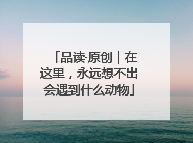 品读·原创｜在这里，永远想不出会遇到什么动物