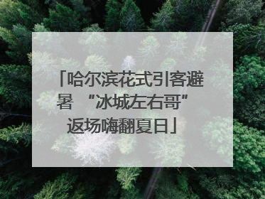 哈尔滨花式引客避暑 “冰城左右哥”返场嗨翻夏日