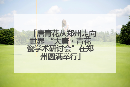 唐青花从郑州走向世界 “大唐・青花瓷学术研讨会”在郑州圆满举行