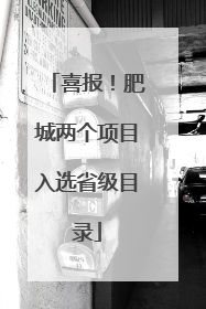 喜报！肥城两个项目入选省级目录