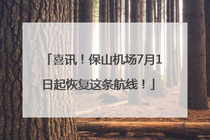 喜讯！保山机场7月1日起恢复这条航线！