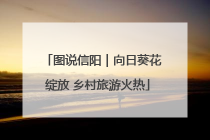 图说信阳｜向日葵花绽放 乡村旅游火热