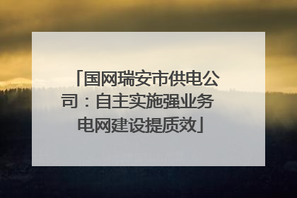 国网瑞安市供电公司：自主实施强业务 电网建设提质效
