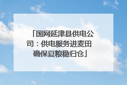 国网延津县供电公司：供电服务进麦田 确保夏粮稳归仓