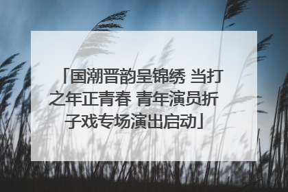 国潮晋韵呈锦绣 当打之年正青春 青年演员折子戏专场演出启动