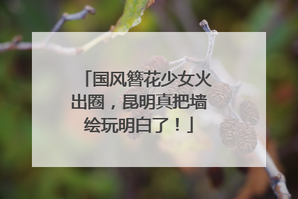 国风簪花少女火出圈，昆明真把墙绘玩明白了！