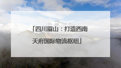四川眉山：打造西南天府国际物流枢纽