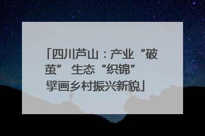 四川芦山：产业“破茧” 生态“织锦” 擘画乡村振兴新貌