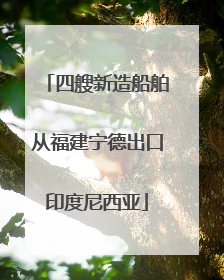 四艘新造船舶从福建宁德出口印度尼西亚