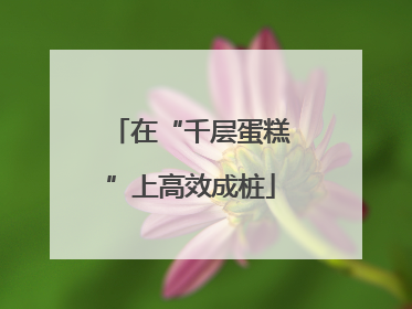 在“千层蛋糕”上高效成桩