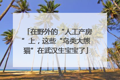在野外的“人工产房”上，这些“鸟类大熊猫”在武汉生宝宝了