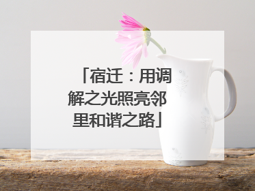 宿迁：用调解之光照亮邻里和谐之路