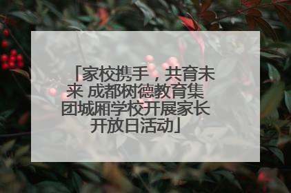 家校携手，共育未来 成都树德教育集团城厢学校开展家长开放日活动